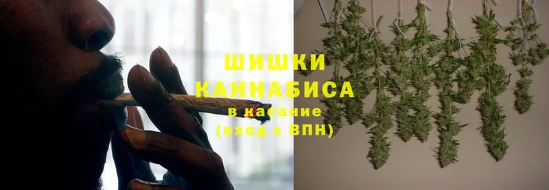 где продают наркотики  MEGA зеркало  Бошки марихуана SATIVA & INDICA  Череповец 